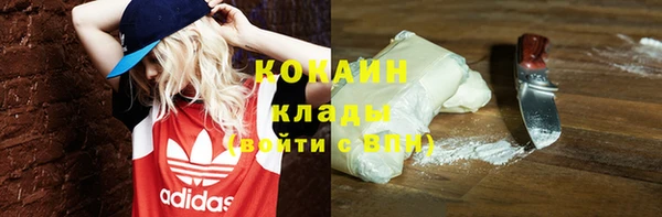 ГАЛЛЮЦИНОГЕННЫЕ ГРИБЫ Богданович