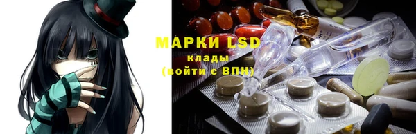 молекула духа Богородицк