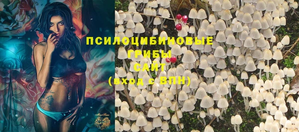 прущие крисы Балахна