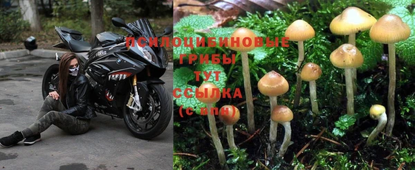 мяу мяу мука Балабаново